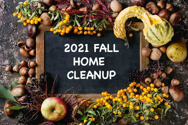 2021 Fall Home Clean Up