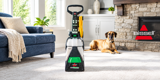 Steam Cleaner