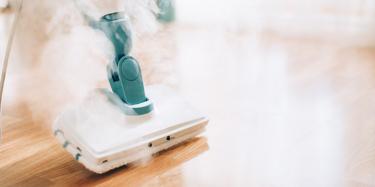 Steam Cleaners