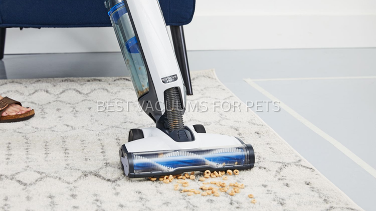 Best Vacuums for Pets and Allergies: Best Upright Vacuums for Households with Cats and Dogs