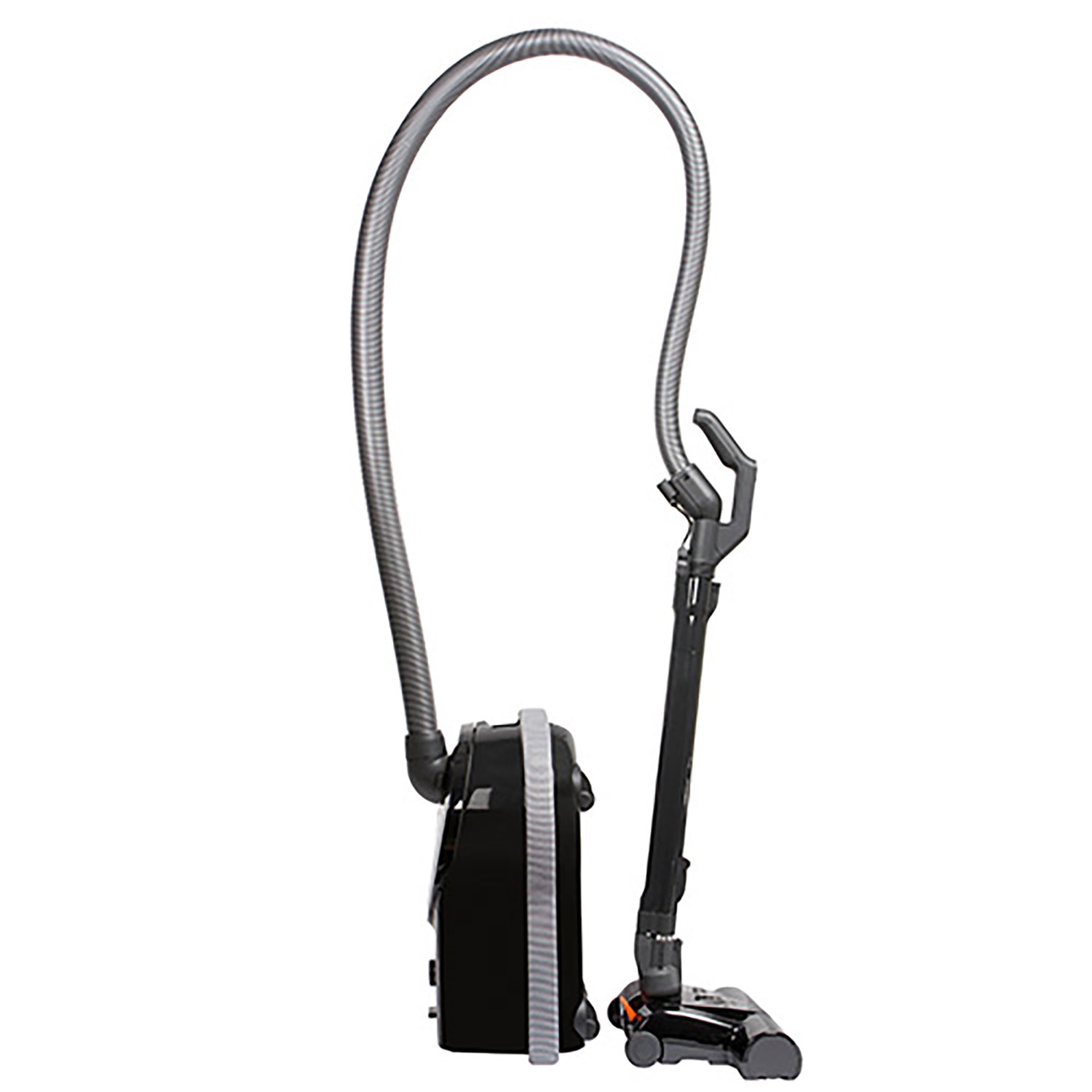 SEBO Airbelt D4 Premium Canister Vacuum 12" Powerhead The Vacuum Store